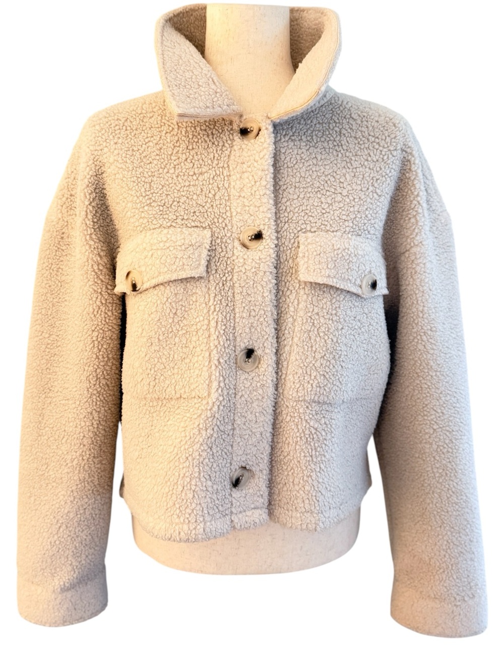 Elodie Teddy Jacket in Cream Tones Size Medium